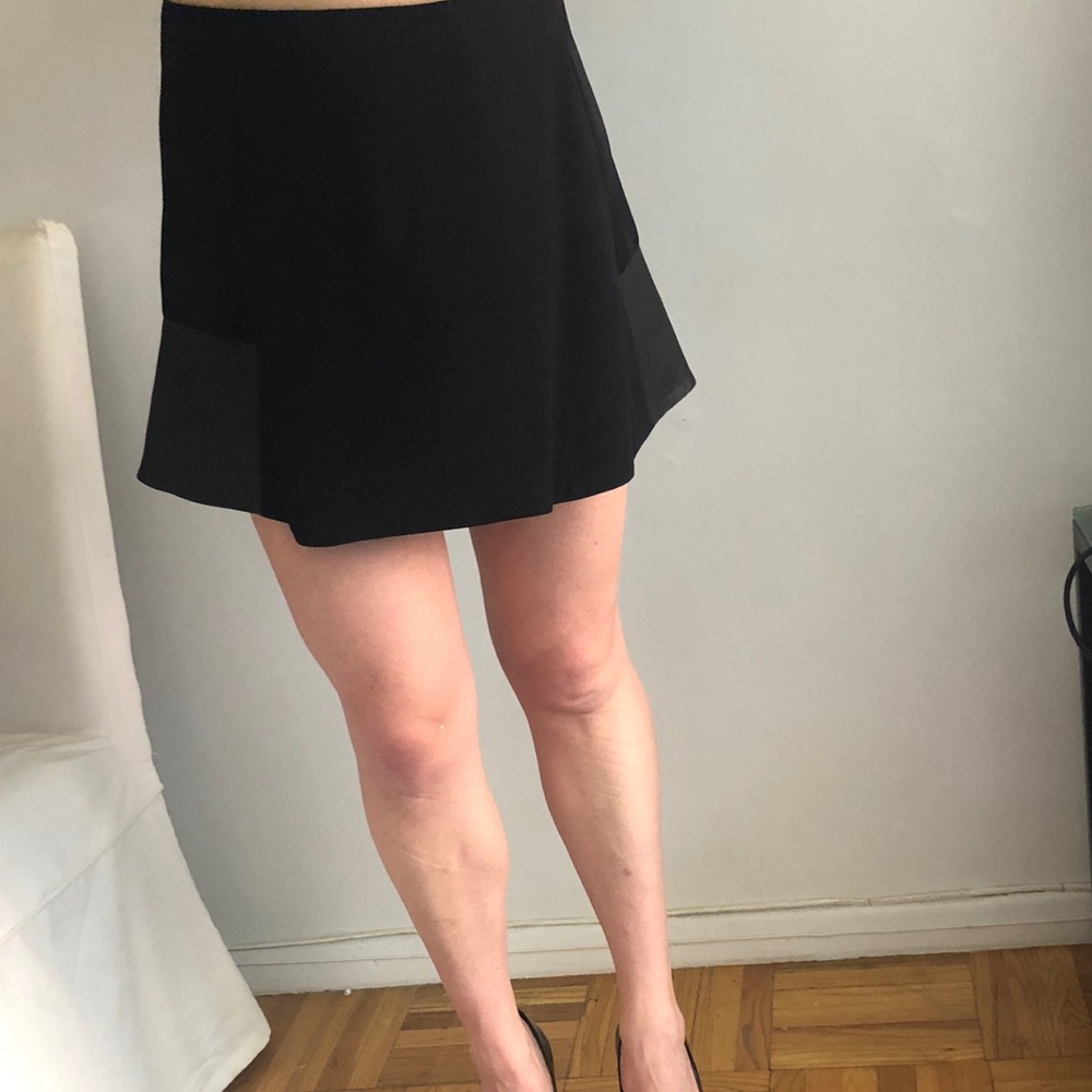 Rag and bone skirt